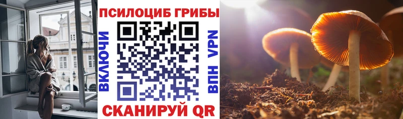 kraken зеркало купить наркотики цена Избербаш Галлюциногенные грибы Magic Shrooms