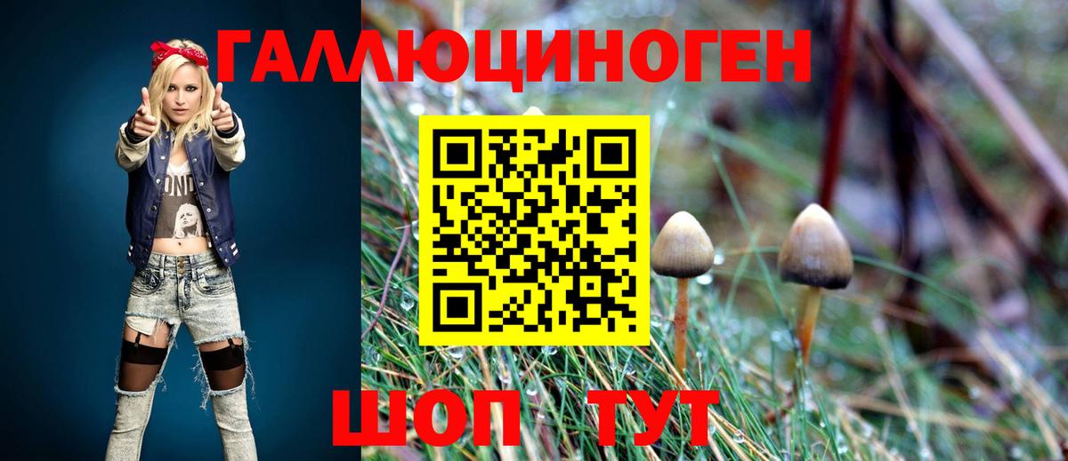 Избербаш  закладка  Вход с VPN  Галлюциногенные грибы мицелий 