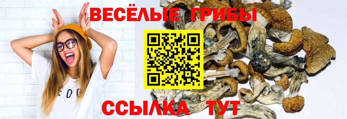 Галлюциногенные грибы мицелий Избербаш