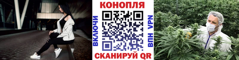 купить наркоту  Избербаш  Бошки Шишки White Widow 